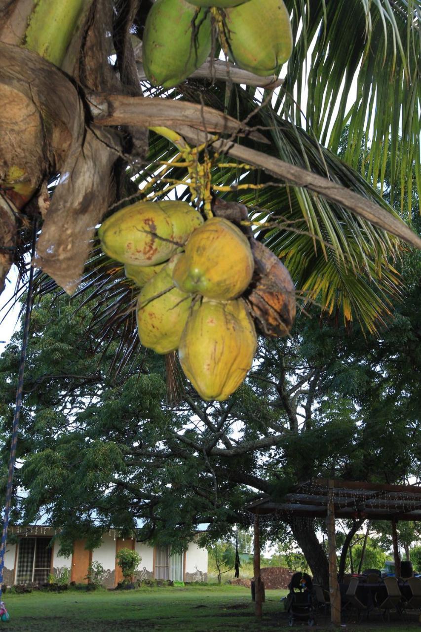 Hare Pakoba Guest House Hanga Roa Exterior foto