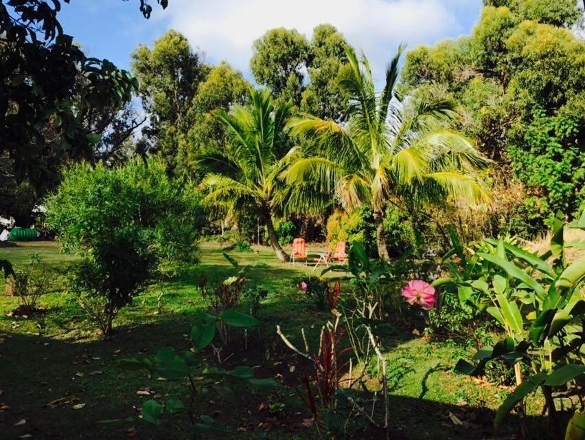 Hare Pakoba Guest House Hanga Roa Exterior foto
